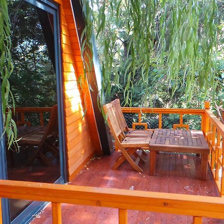 Trinitys Forest Bungalows كمر المظهر الخارجي الصورة