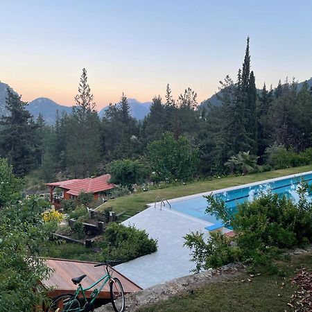 Trinitys Forest Bungalows كمر المظهر الخارجي الصورة