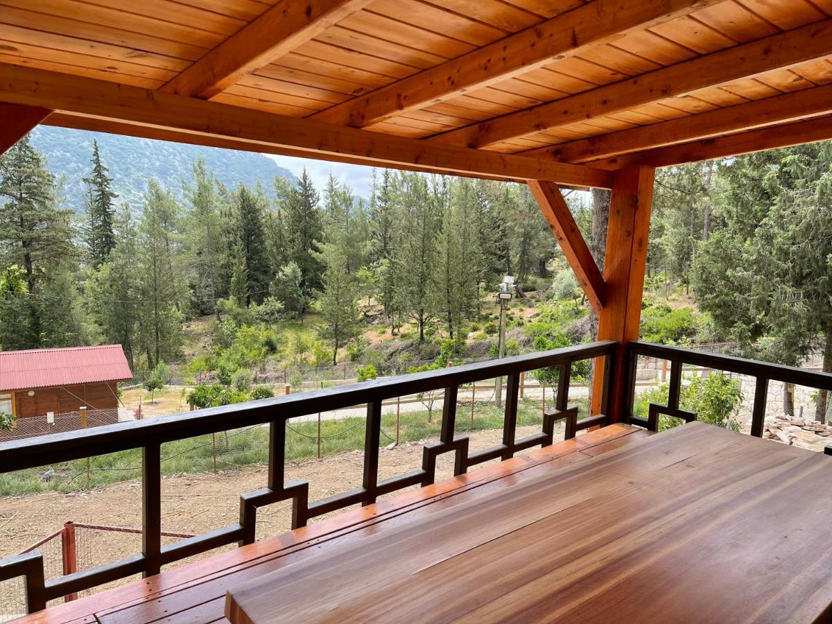Trinitys Forest Bungalows كمر المظهر الخارجي الصورة