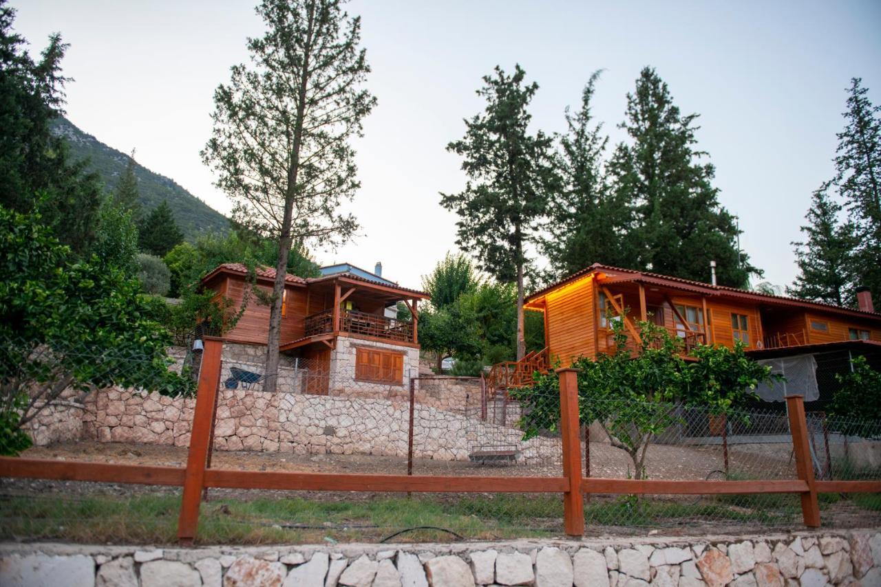 Trinitys Forest Bungalows كمر المظهر الخارجي الصورة