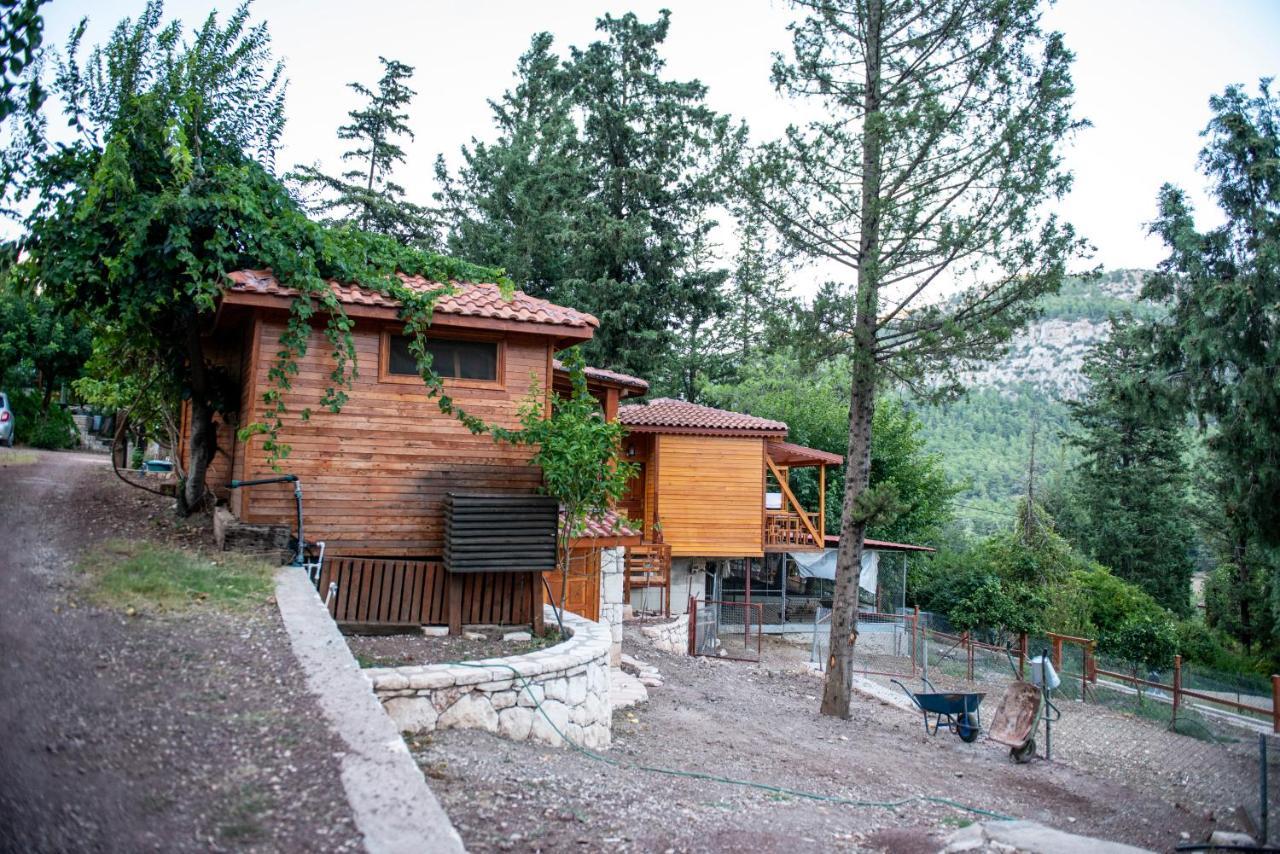 Trinitys Forest Bungalows كمر المظهر الخارجي الصورة