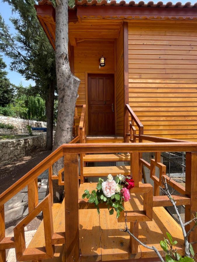 Trinitys Forest Bungalows كمر المظهر الخارجي الصورة