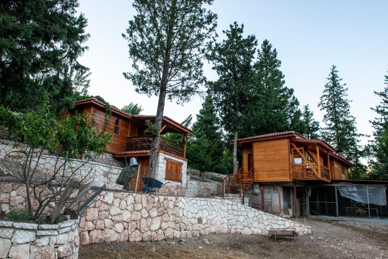 Trinitys Forest Bungalows كمر المظهر الخارجي الصورة