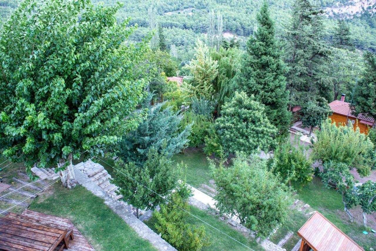 Trinitys Forest Bungalows كمر المظهر الخارجي الصورة