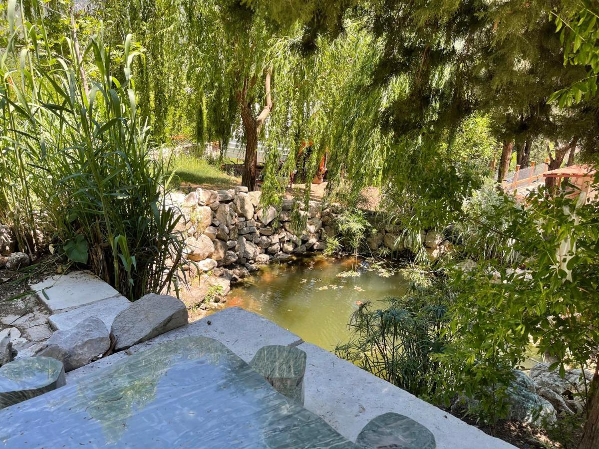 Trinitys Forest Bungalows كمر المظهر الخارجي الصورة