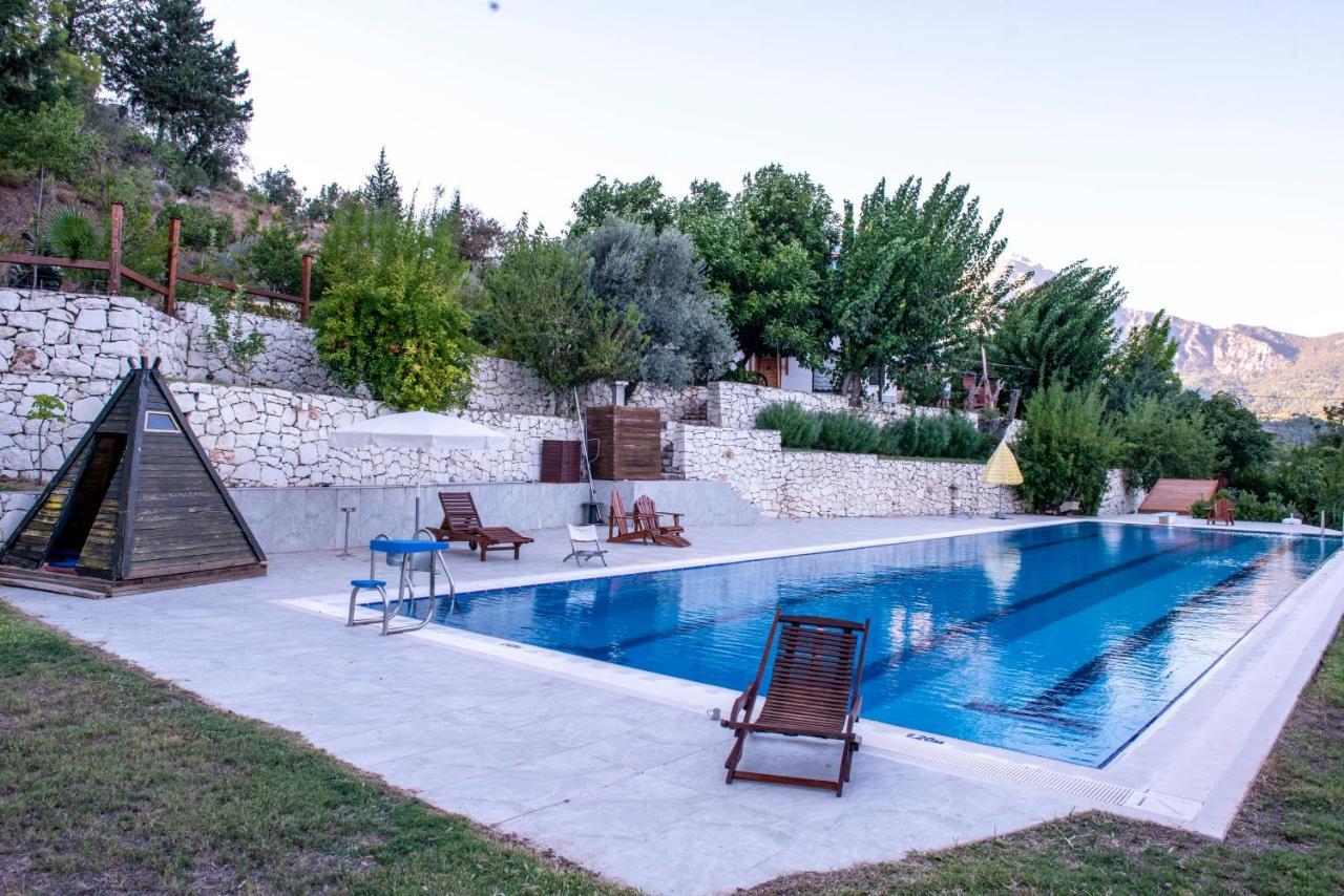 Trinitys Forest Bungalows كمر المظهر الخارجي الصورة