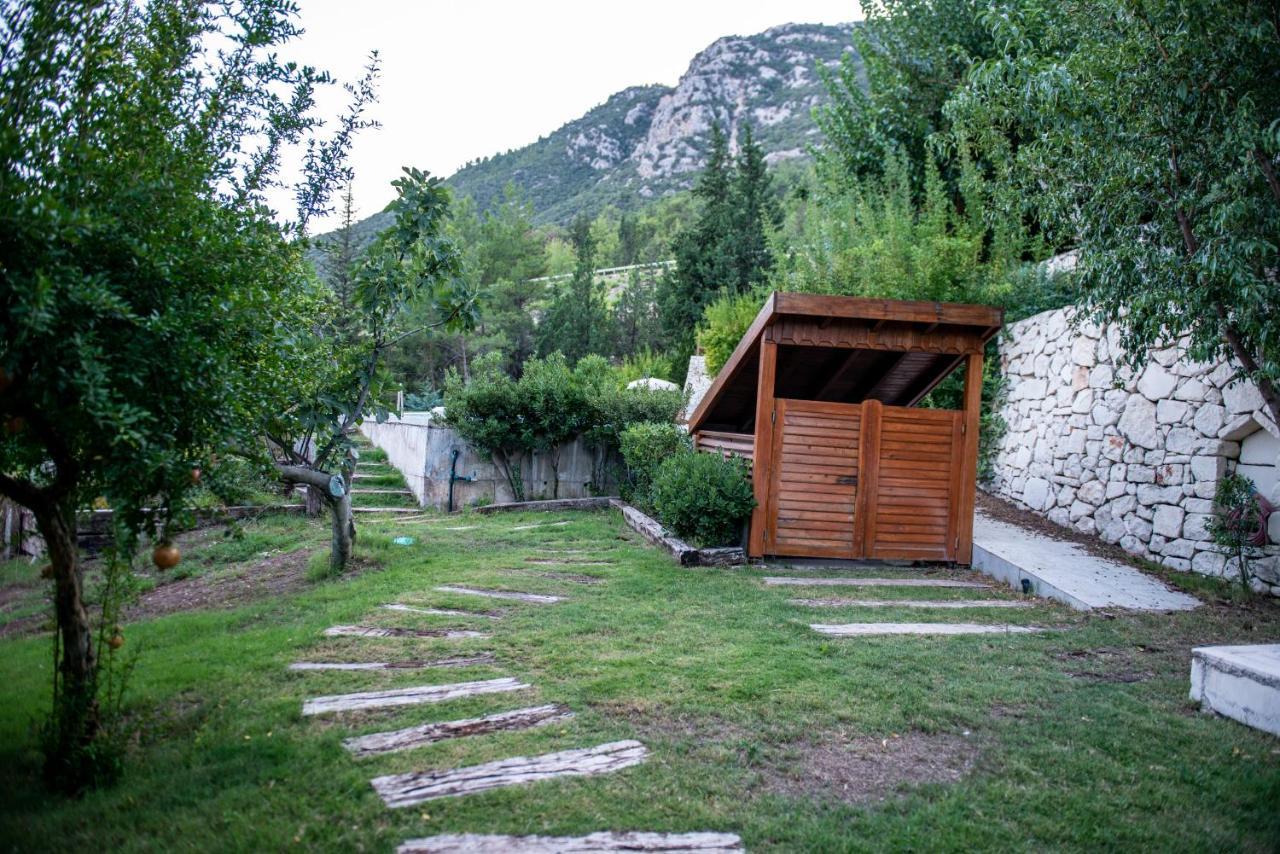 Trinitys Forest Bungalows كمر المظهر الخارجي الصورة