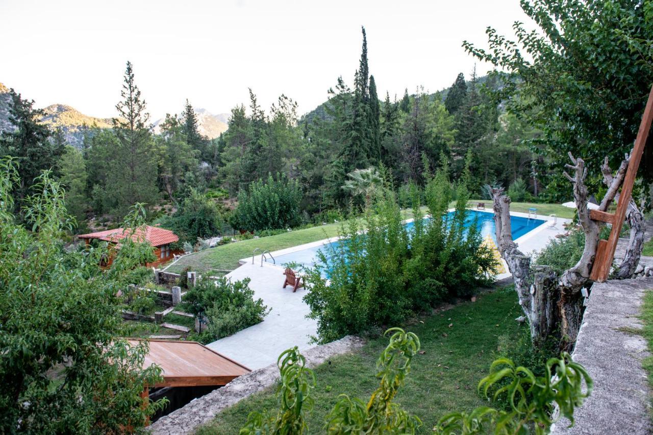 Trinitys Forest Bungalows كمر المظهر الخارجي الصورة