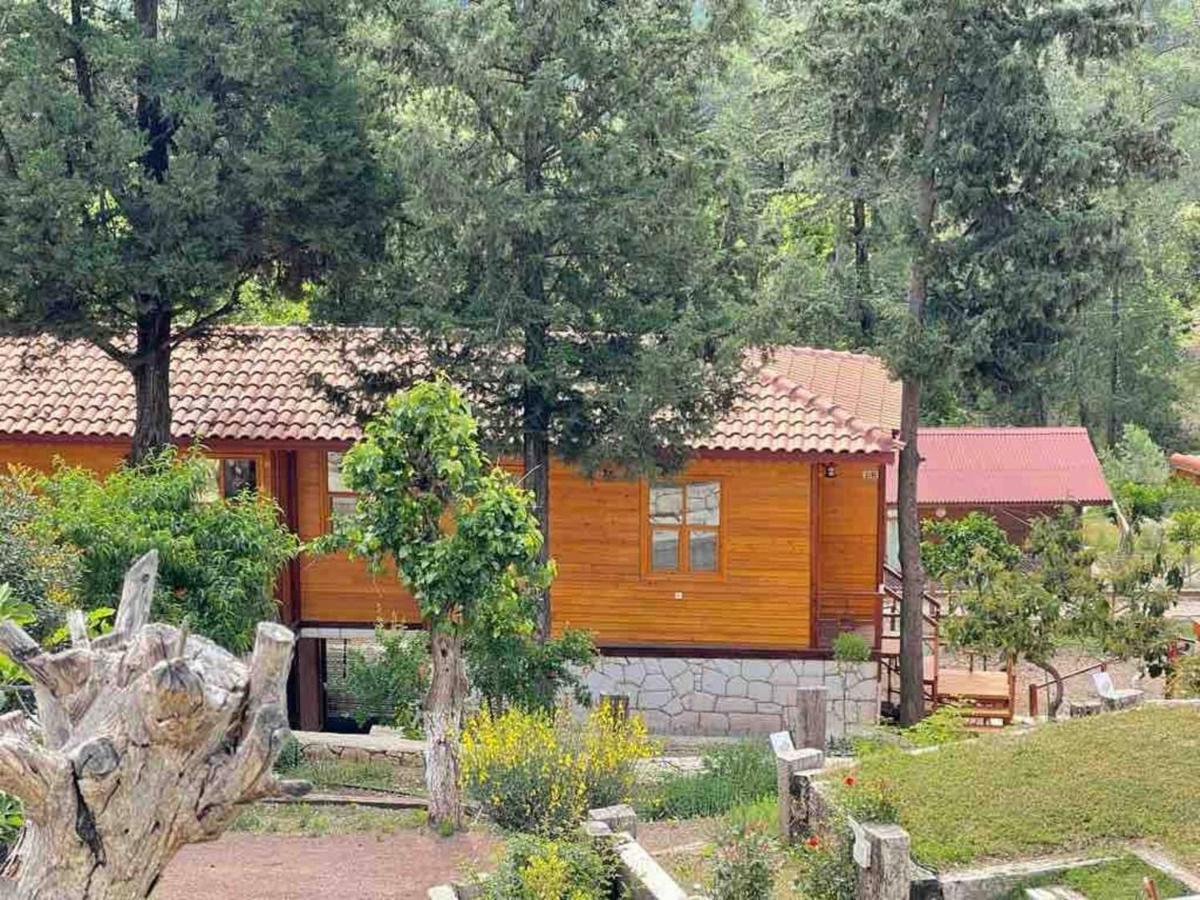 Trinitys Forest Bungalows كمر المظهر الخارجي الصورة