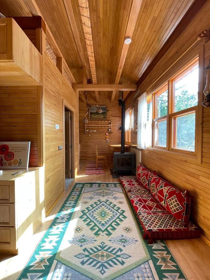 Trinitys Forest Bungalows كمر المظهر الخارجي الصورة