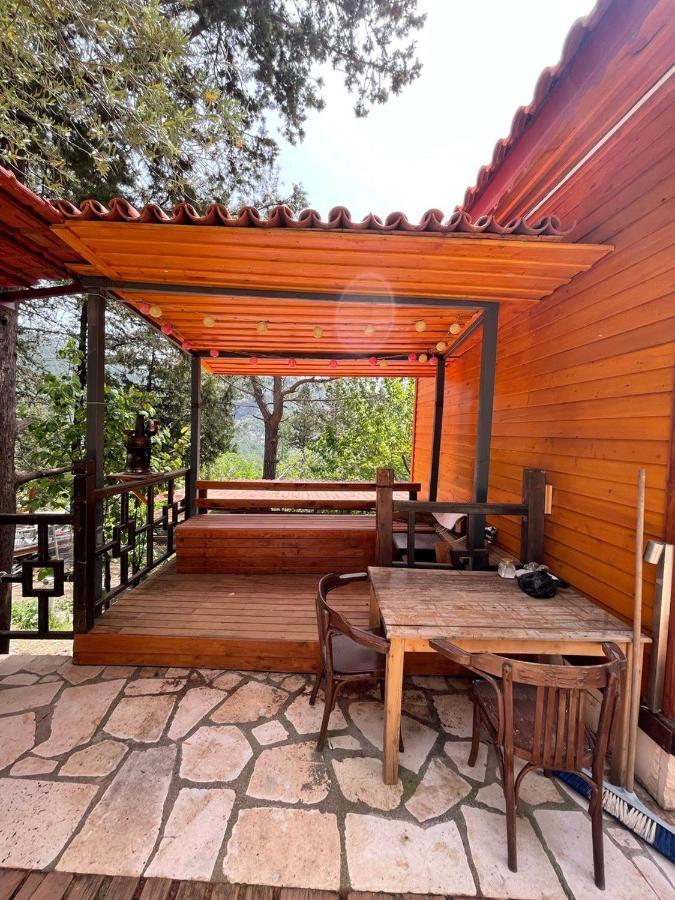 Trinitys Forest Bungalows كمر المظهر الخارجي الصورة