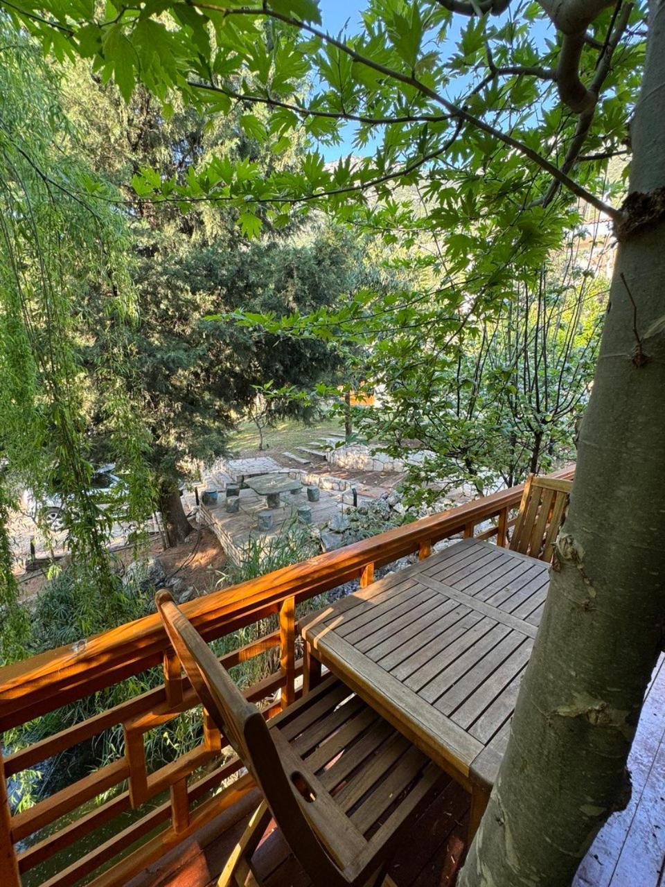 Trinitys Forest Bungalows كمر المظهر الخارجي الصورة