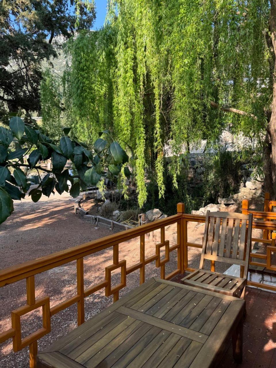 Trinitys Forest Bungalows كمر المظهر الخارجي الصورة