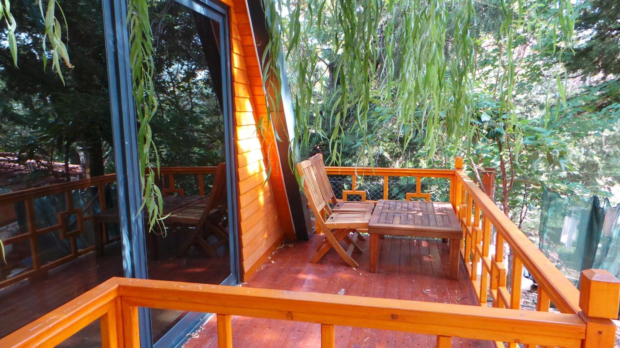Trinitys Forest Bungalows كمر المظهر الخارجي الصورة