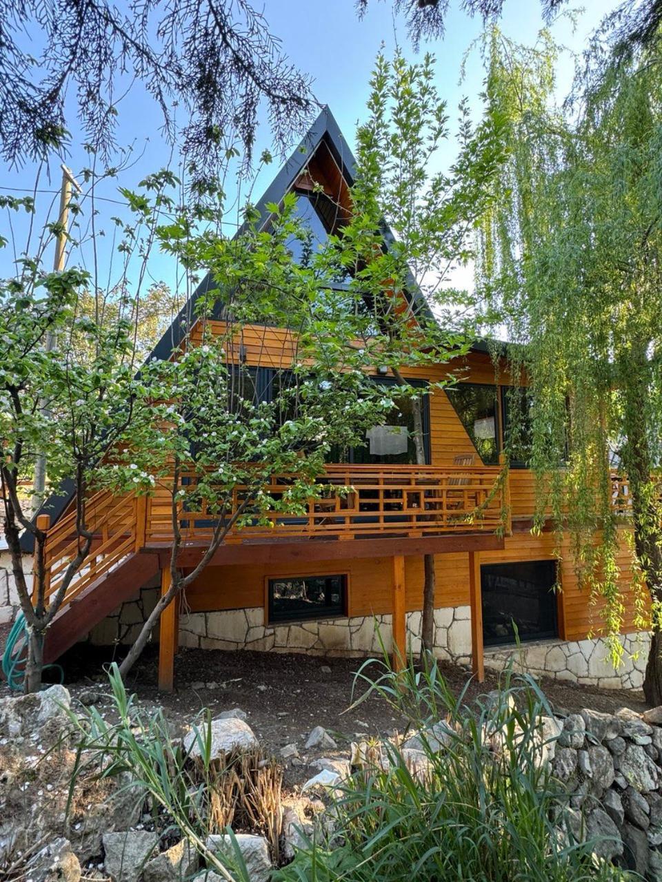Trinitys Forest Bungalows كمر المظهر الخارجي الصورة