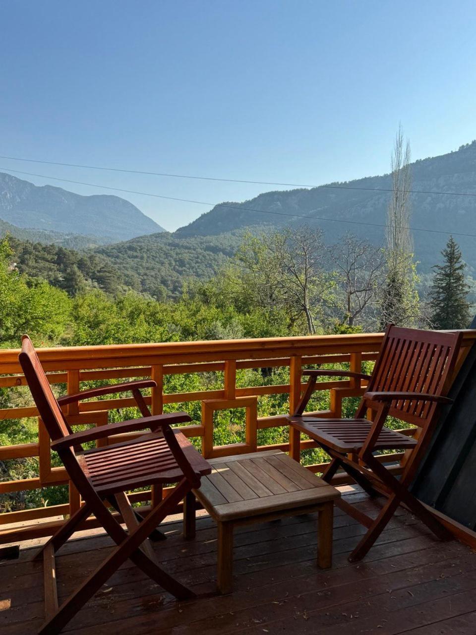 Trinitys Forest Bungalows كمر المظهر الخارجي الصورة