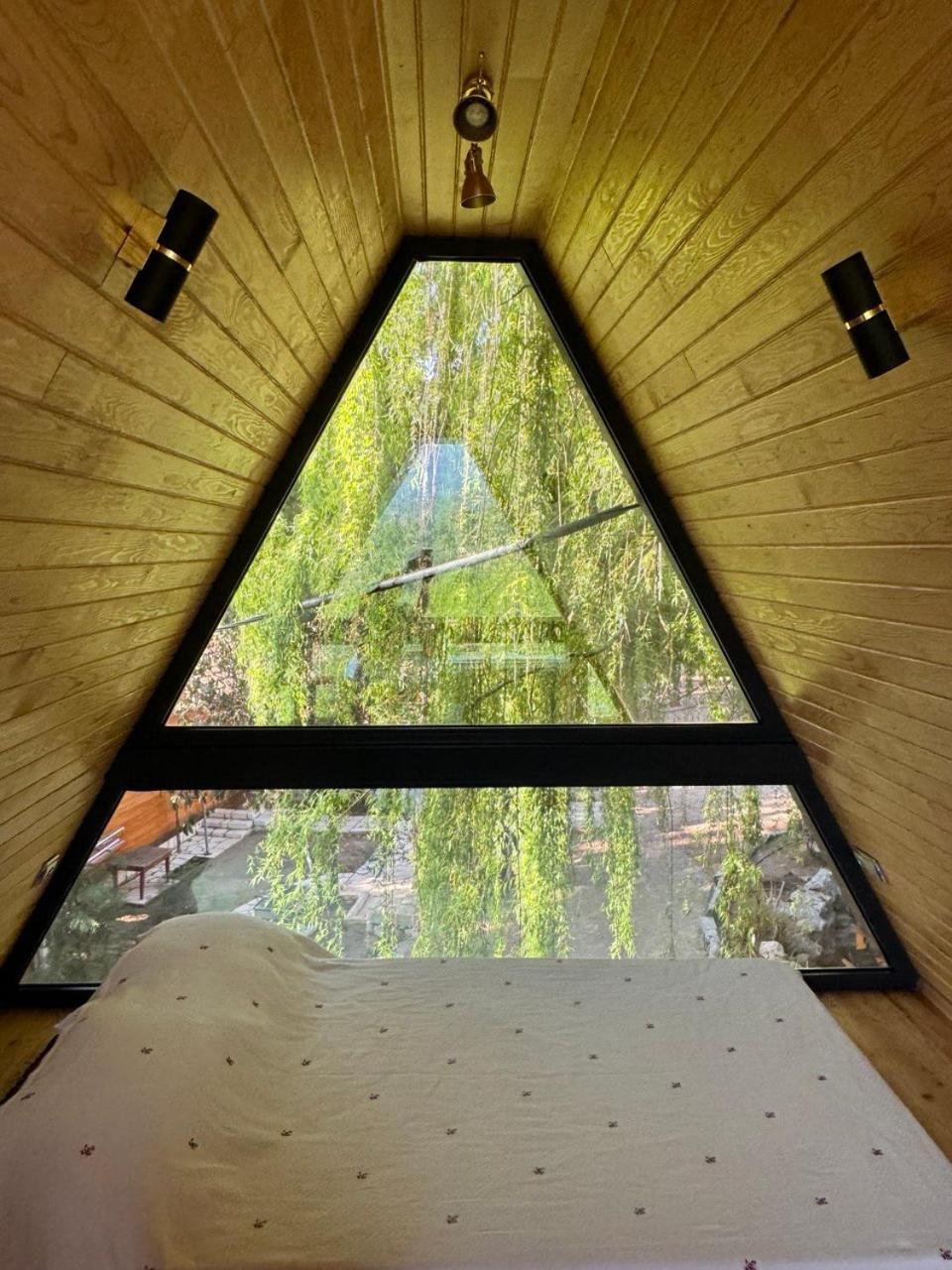 Trinitys Forest Bungalows كمر المظهر الخارجي الصورة